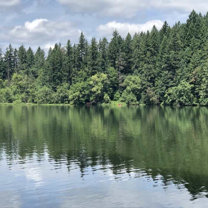 Near Lacamas Creek Trail