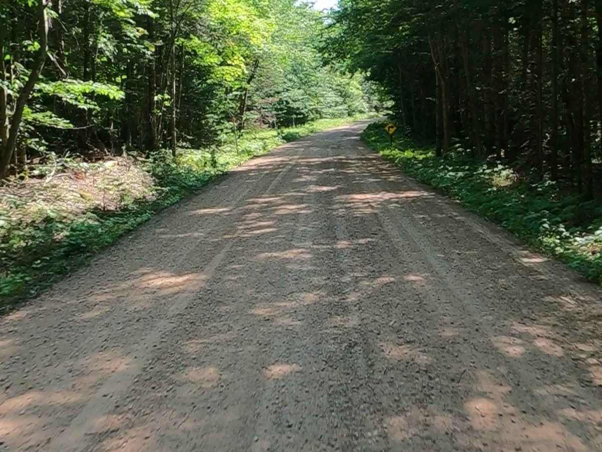 Buck Bay Road - FSR 2272 photo 6