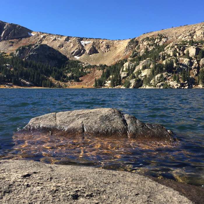 Near Windsor Lake Trail