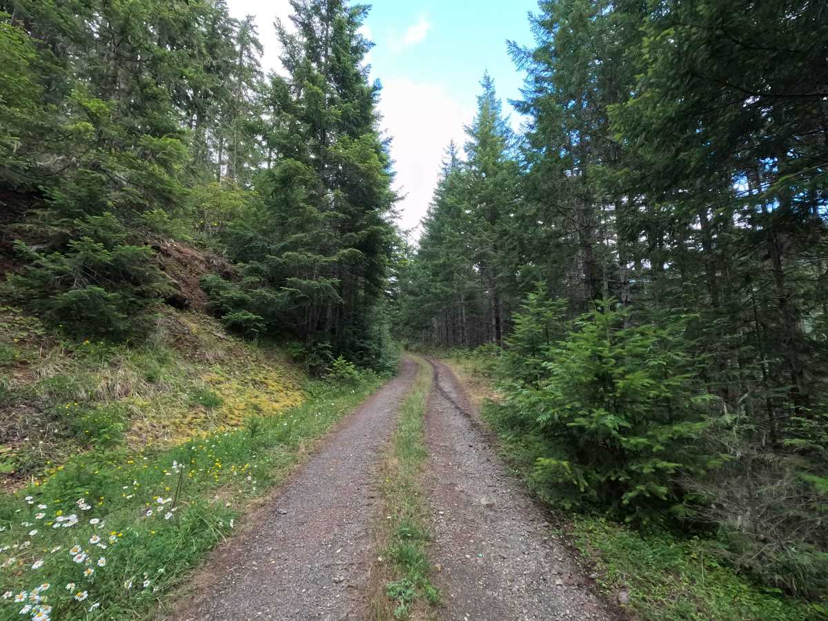 FS 2740060 photo 3