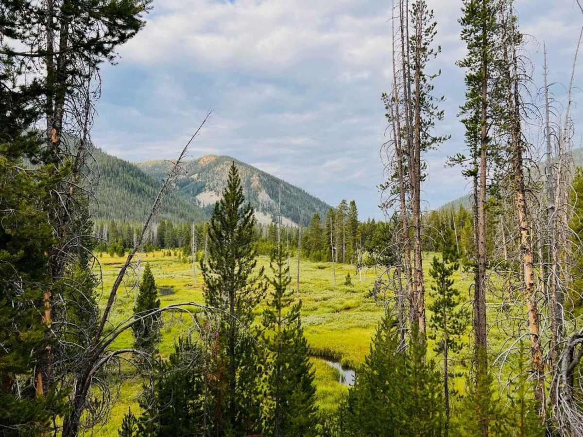 Cape Horn Creek Access trail photo