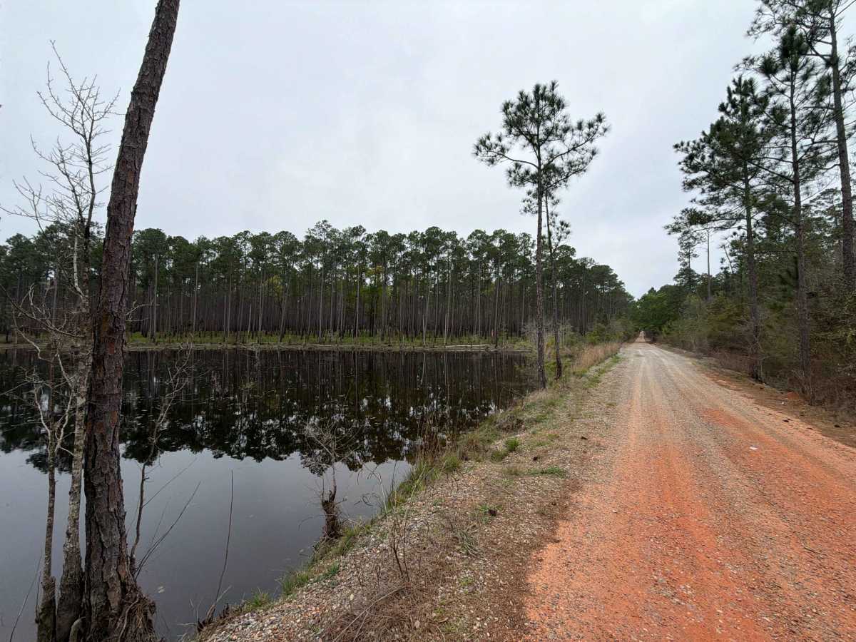 Coldwater Horse Trail photo 2