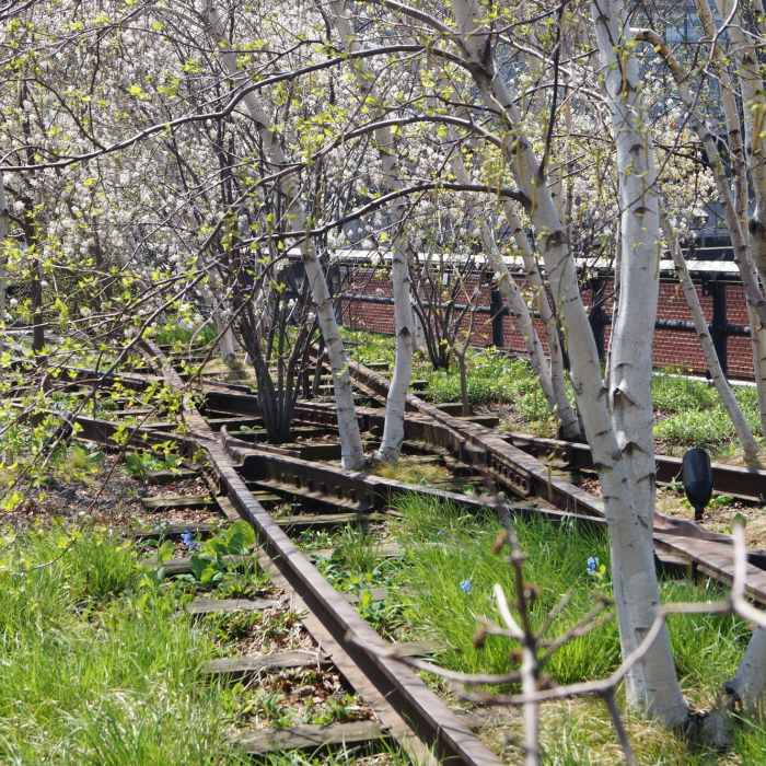 Near The High Line