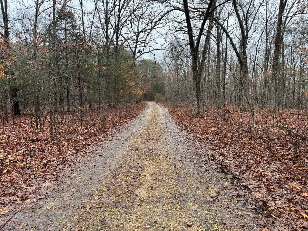 FS 1727A trail photo
