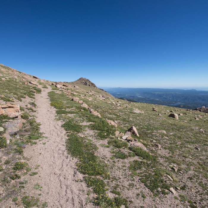 Near Pikes Peak Northwest Slopes