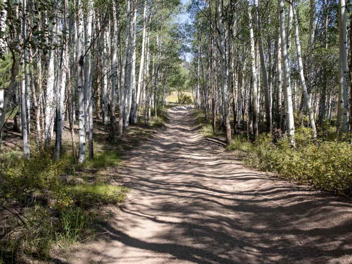 Bald Mountain Gulch 2 photo 2