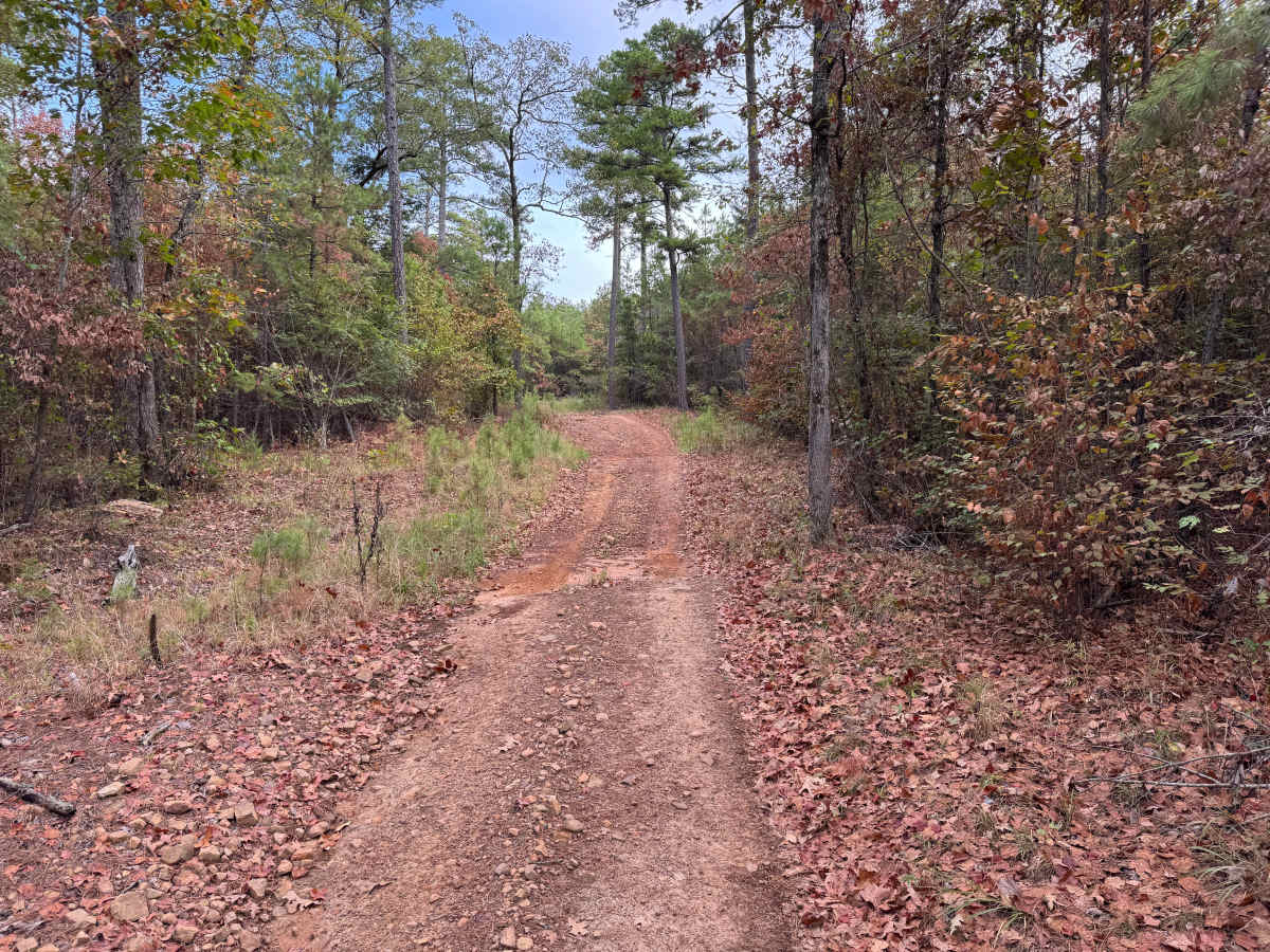 East Sing photo 3