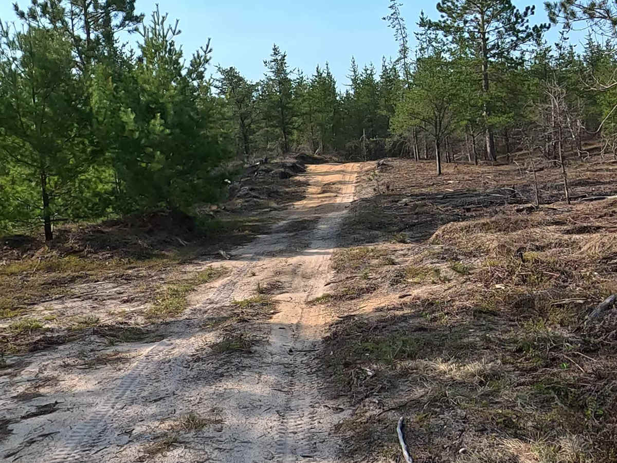 Vermillion Spur South photo 3