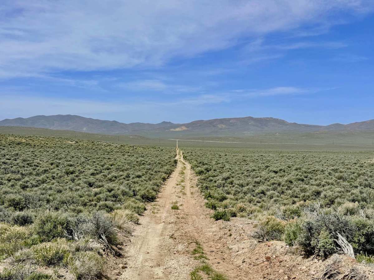 Box Spring FS43227 trail photo