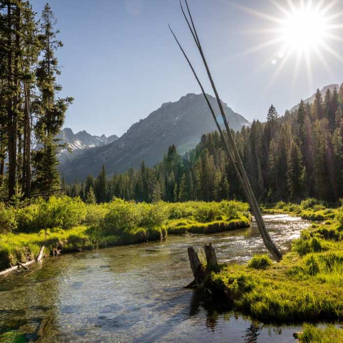 Near Fishhook Creek Trail