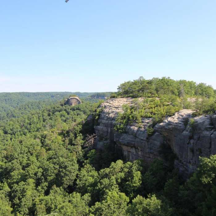 Near Auxier Ridge Loop Trail