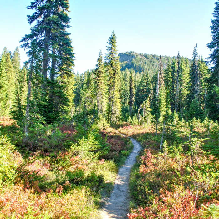 Near Cultus Creek to Lemei Rock