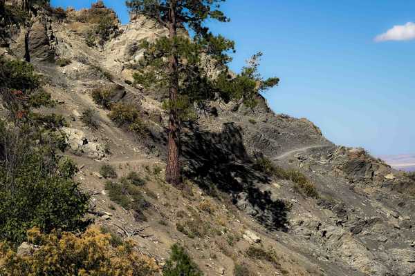 Devil’s Spur 1203