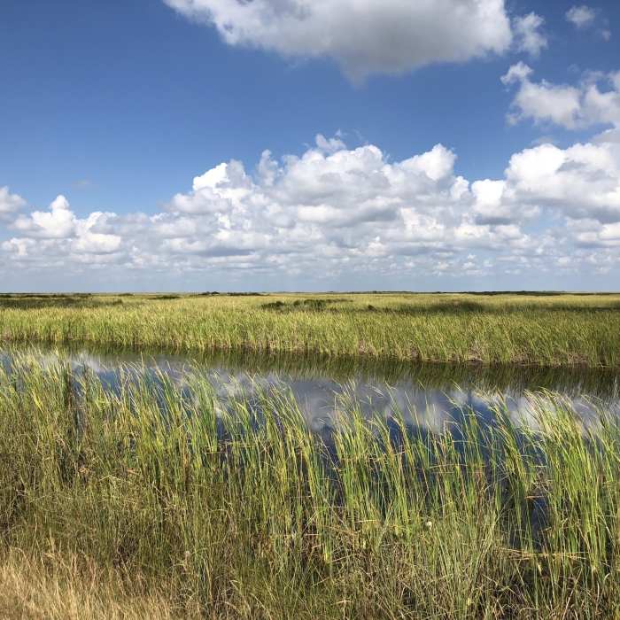 Near Everglades Conservation Levee Greenway