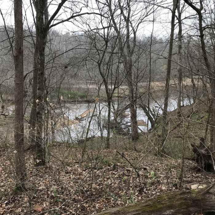 Near Shoals Creek Preserve Loop