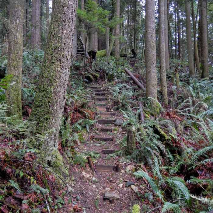 Near Thornhill Trail