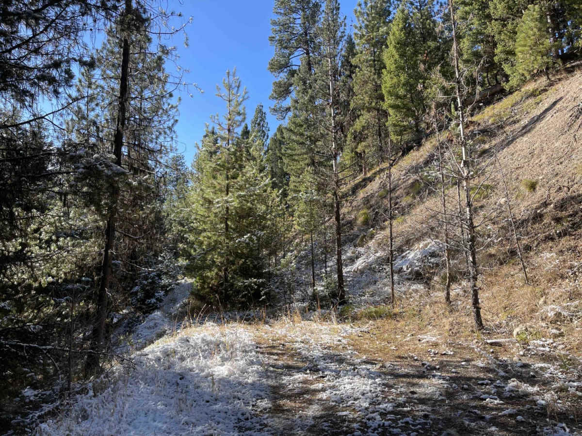 Old Coal Creek Dead End photo 4