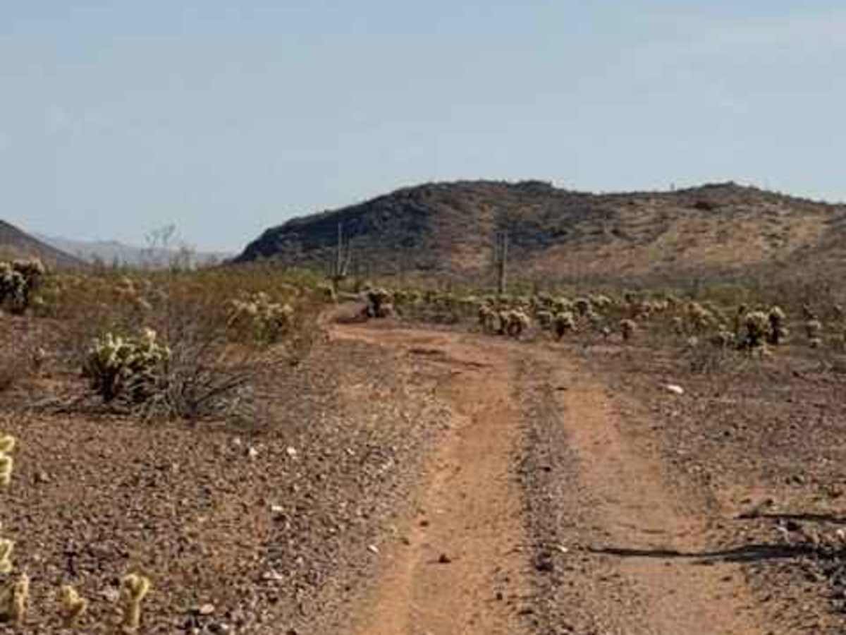 BLM 39160 photo 2