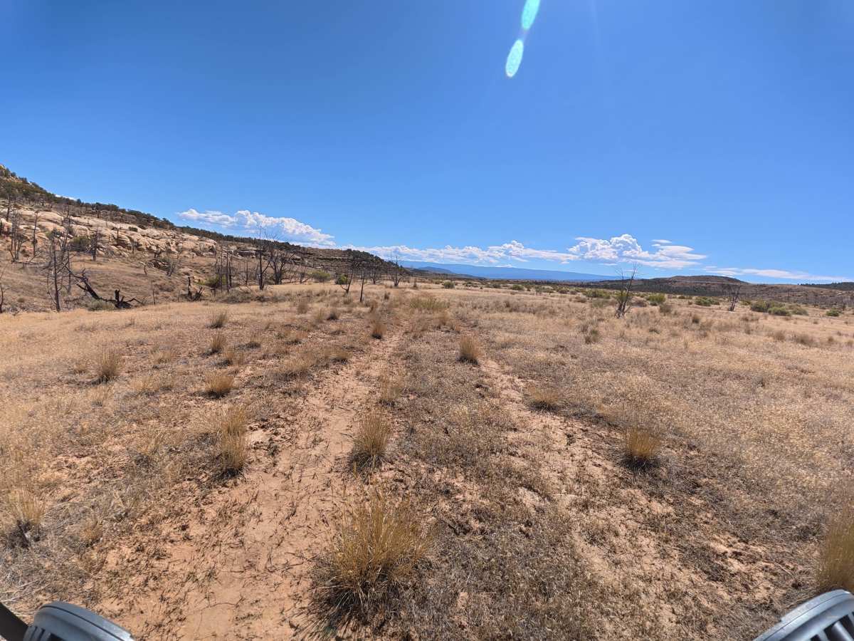 BLM 286B photo 4