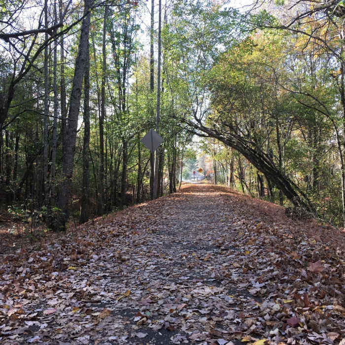 There's beautiful scenery along the Mountain Goat Trail in all seasons. Near Mountain Goat Trail: Sewanee - Monteagle