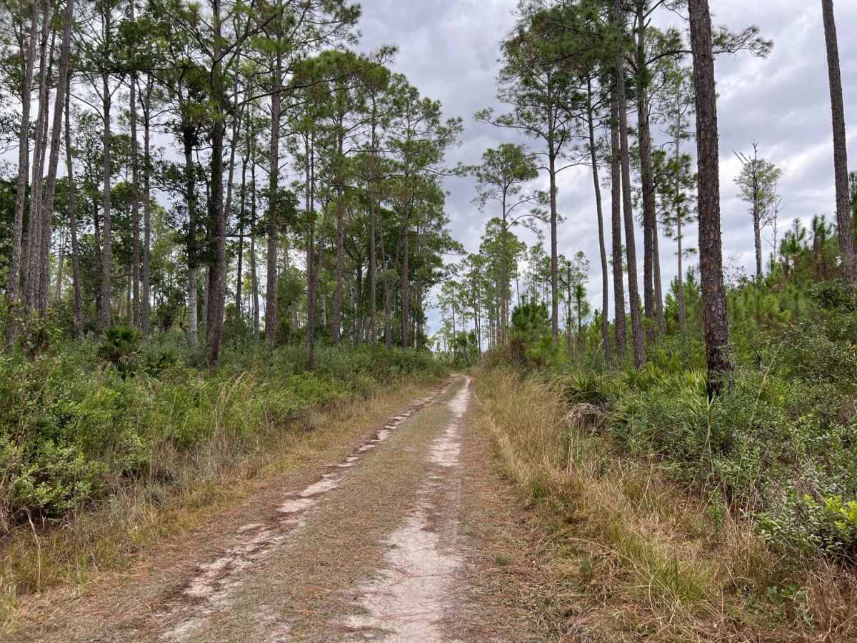 River Road Turn Around photo 6