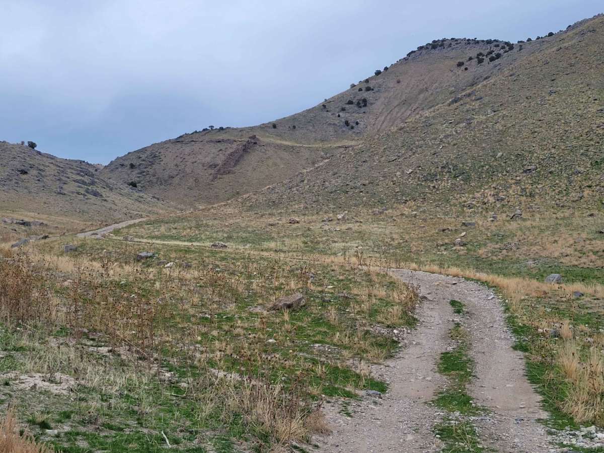 Tabby's Canyon photo 3