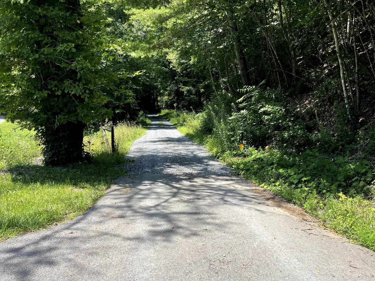 FS 243 trail photo