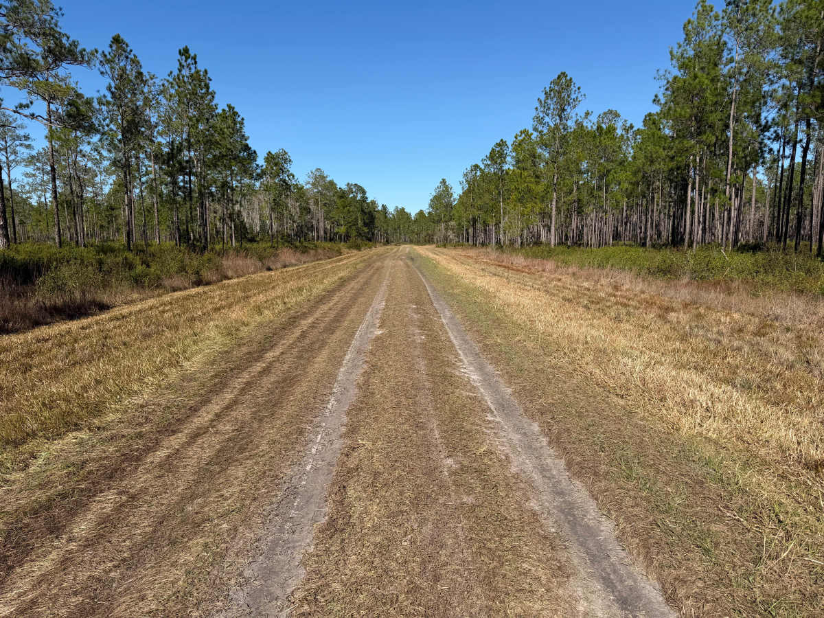 Levee Road photo 6