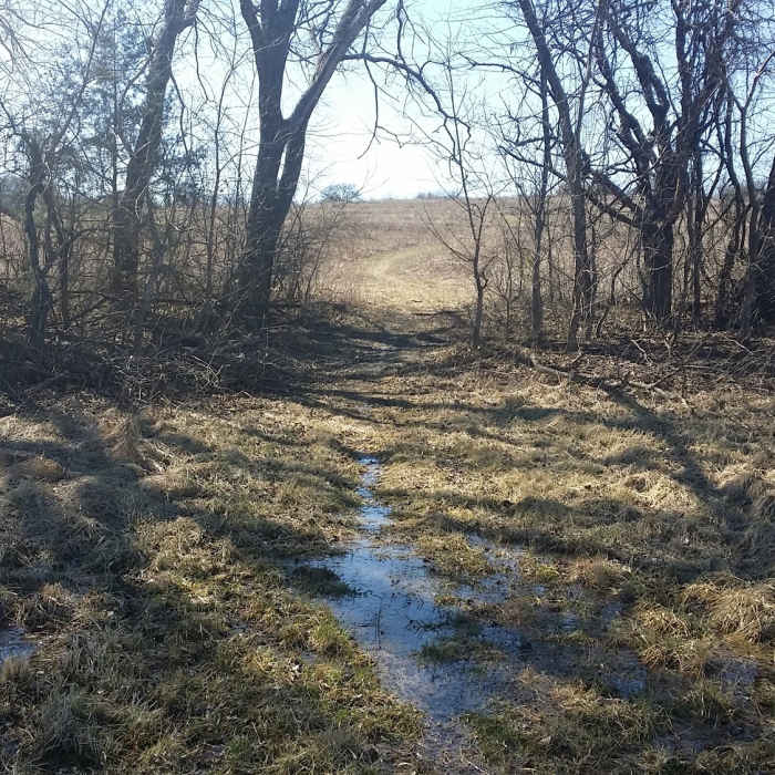 Standing water exists occasionally between meadows. Near Connemara Meadow Nature Preserve