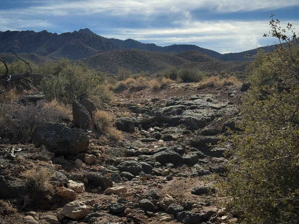 H1333 trail photo