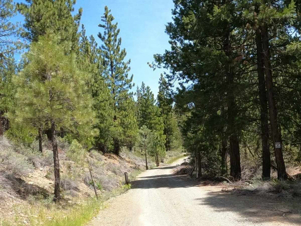 Bonta Creek - NF23N33 photo 2