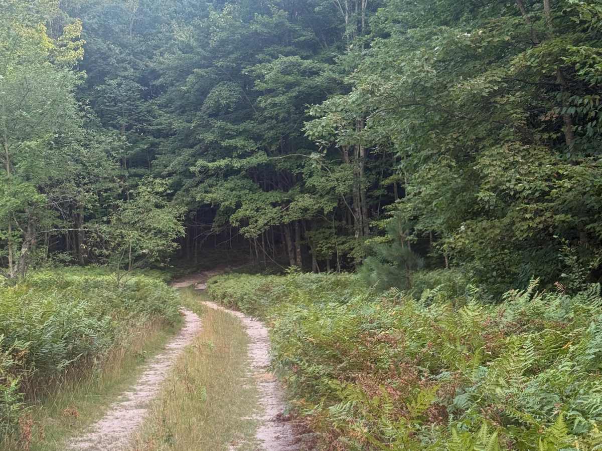 3 Powerline Trail photo 4