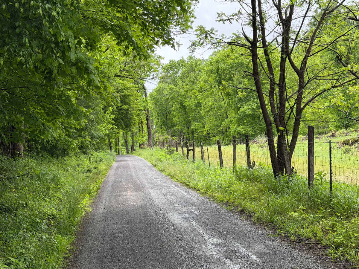 Comers Creek Road - FS 650 photo 3