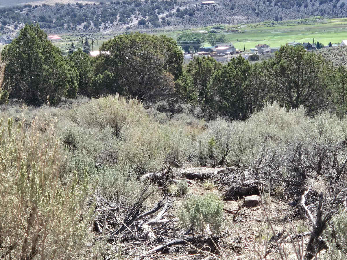 Mill Creek Trail - FS 41161 photo 5