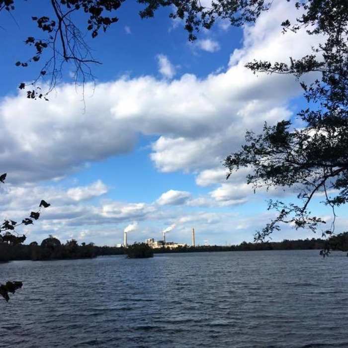 The White Blaze Trail affords visitors great views of the Dominion Power Station. Near Dutch Gap Run