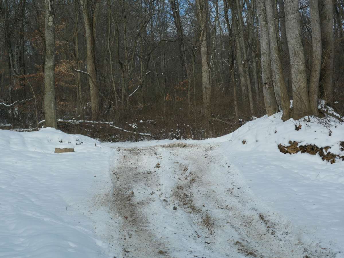 Trail 23 photo 4