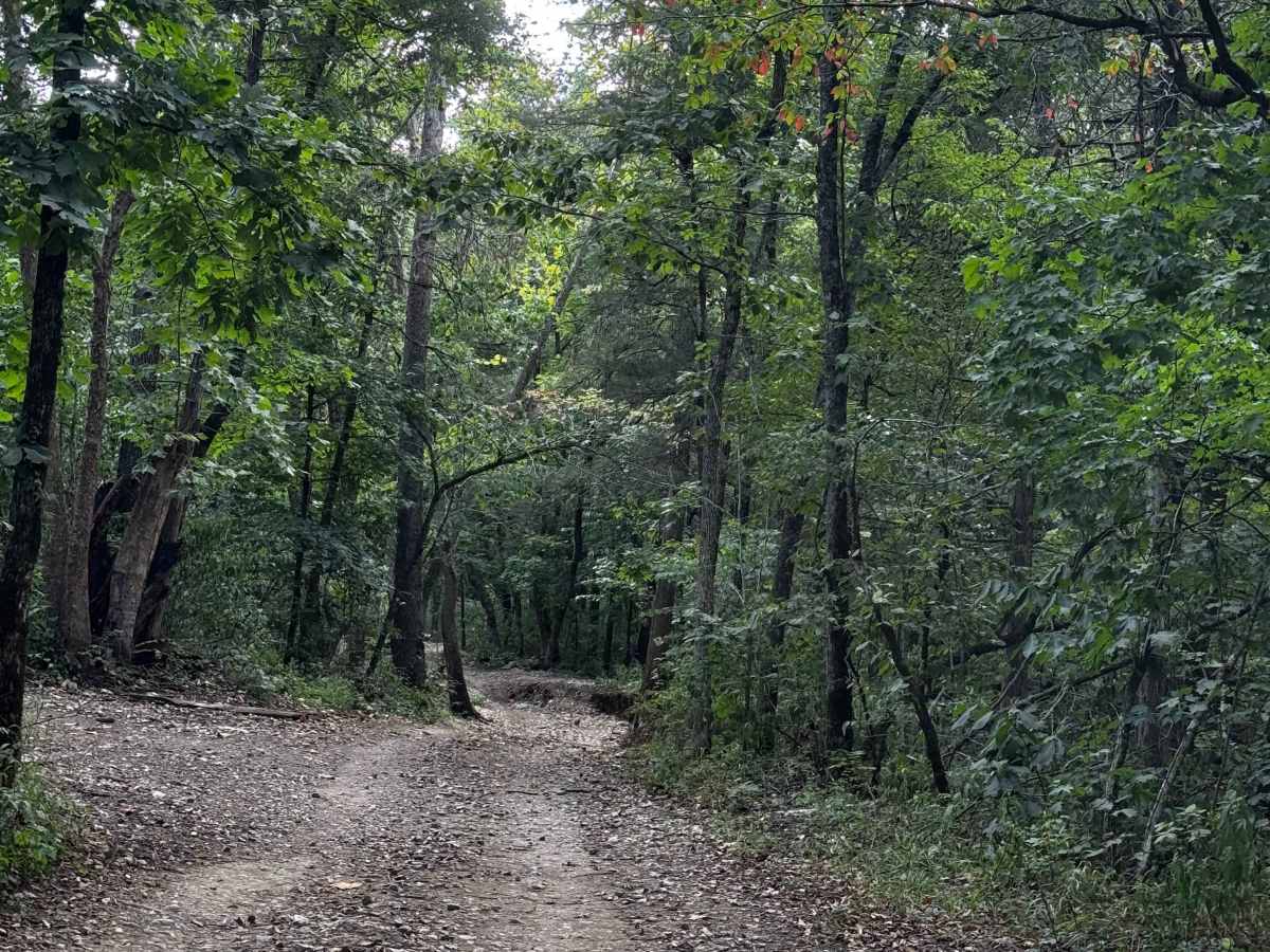 1/2 Trail photo 3