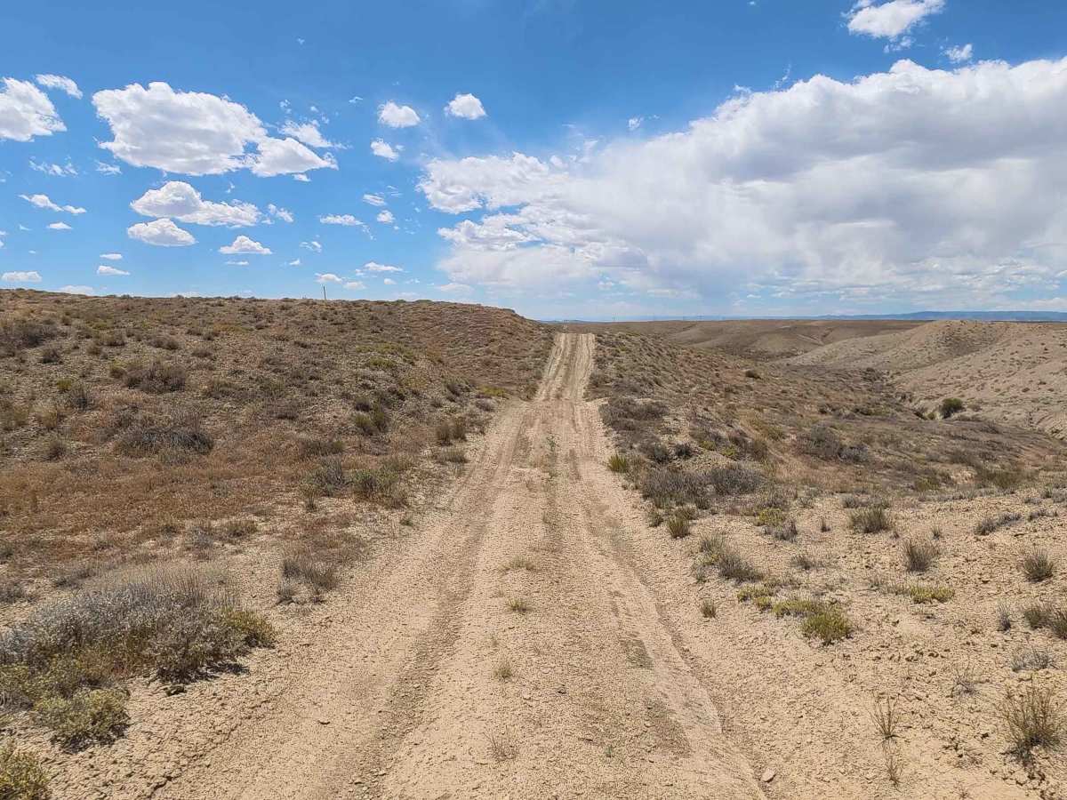 BLM 177 photo 6