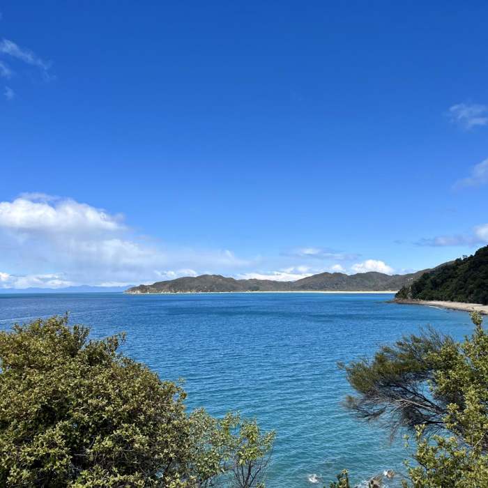 Near Totaranui Beach Track to Waiharakeke Bay