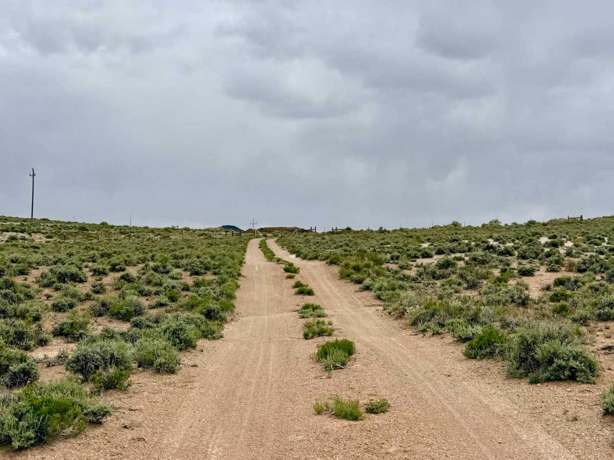 Parrotte Springs / Hannapah Road - FS 44505 photo 2