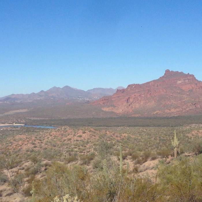Enjoy great views of Red Mountain along the Saguaro Trail. Near Maricopa Trail - Pass Mountain Connector