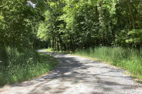Sherburne Wildlife Management Area (WMA) Trail