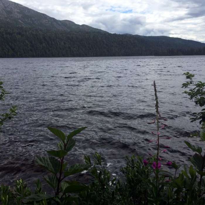 Near Byers Lake - Hike to Beemans Cabin Near Byers Lake - Hike to Beemans Cabin