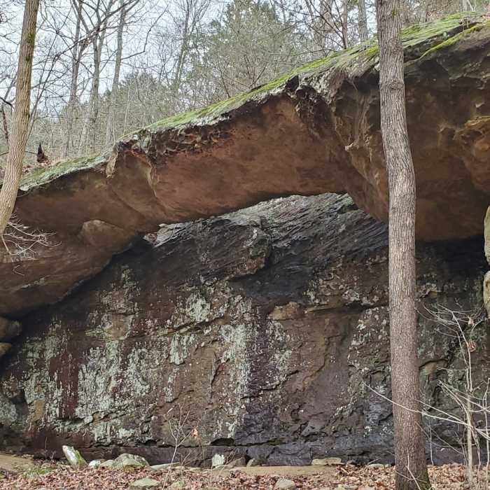 A natural bridge with a stone backdrop. Near Happy Hollow Loop