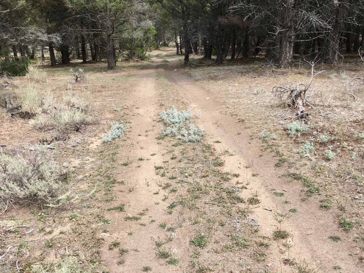 Little Galena Trail photo 3