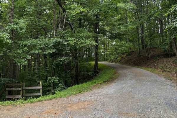 Wilson Mountain