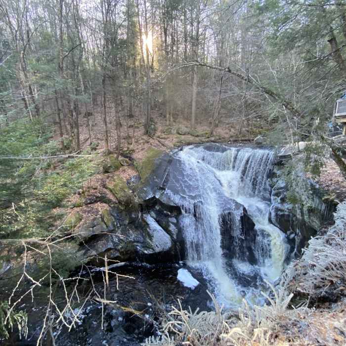 Near Enders Falls Trail