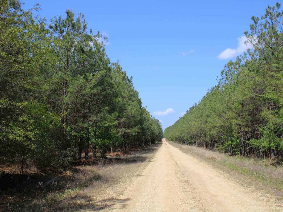 The Arkansas Overland Route - TrailHawk Loop - Section 15 photo 5
