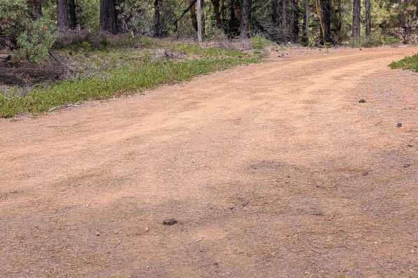 Lost Road - FS 2N46