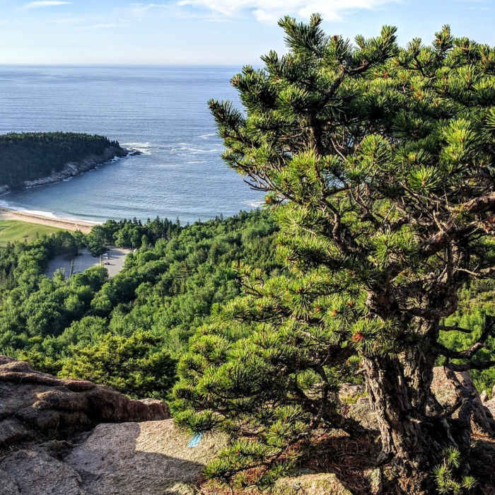 While plenty steep, the Beehive Trail rewards you with phenomenal views looking down on Sand Beach. Near Beehive Trail